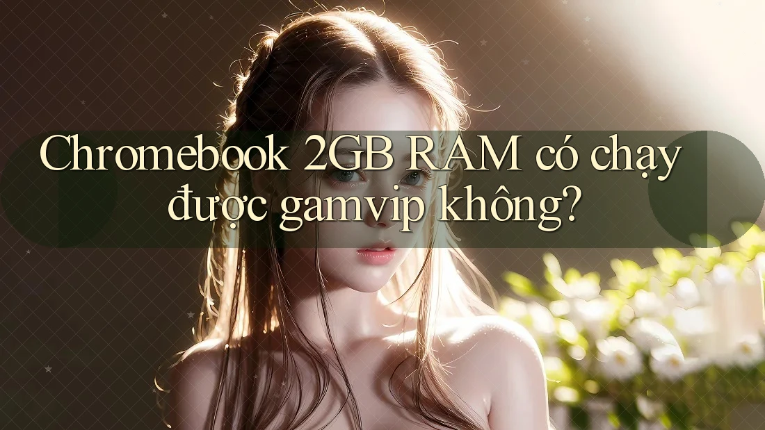 Chromebook 2GB RAM có chạy được gamvip không? Chromebook 2GB RAM có chạy được gamvip không?