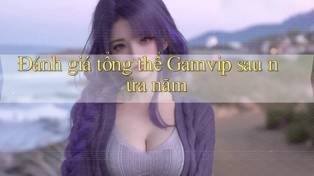 Đánh giá tổng thể Gamvip sau nửa năm Đánh giá tổng thể Gamvip sau nửa năm