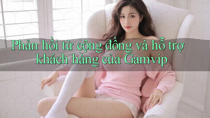Phản hồi từ cộng đồng và hỗ trợ khách hàng của Gamvip Phản hồi từ cộng đồng và hỗ trợ khách hàng của Gamvip