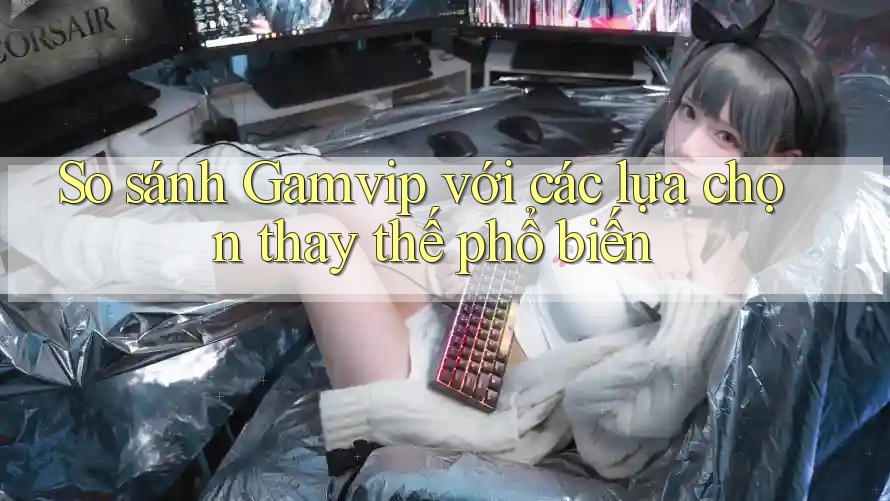 So sánh Gamvip với các lựa chọn thay thế phổ biến So sánh Gamvip với các lựa chọn thay thế phổ biến