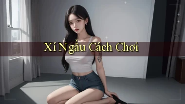 Xí ngầu Cách chơi
